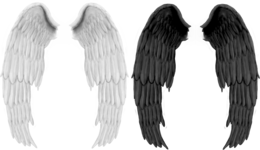 fantasy & wings free transparent png image.