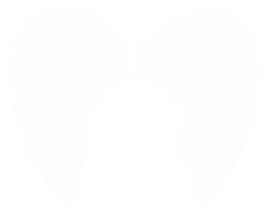 fantasy & wings free transparent png image.