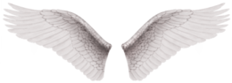 fantasy & wings free transparent png image.