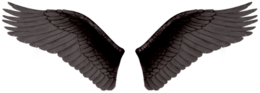 fantasy & wings free transparent png image.