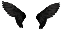 Fantasy & wings free transparent png image.