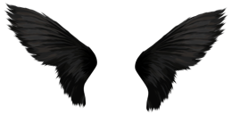 Fantasy & Wings free transparent png image.