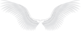 Fantasy & wings free transparent png image.