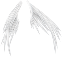 Fantasy & wings free transparent png image.