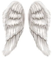 Fantasy & wings free transparent png image.