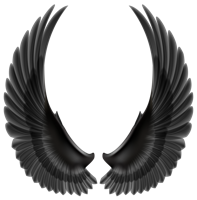 Fantasy & wings free transparent png image.