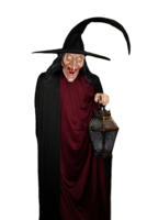 fantasy & witch free transparent png image.