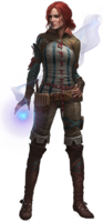 heroes & witcher free transparent png image.