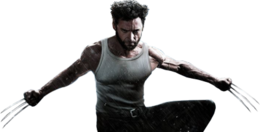 fantasy & Wolverine free transparent png image.