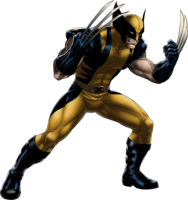 fantasy & Wolverine free transparent png image.