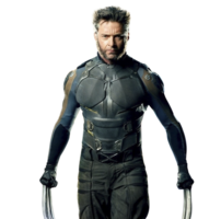 fantasy & wolverine free transparent png image.