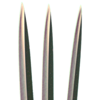 fantasy & Wolverine free transparent png image.