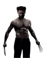 fantasy & Wolverine free transparent png image.
