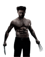 fantasy & wolverine free transparent png image.