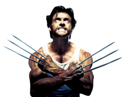 fantasy & wolverine free transparent png image.