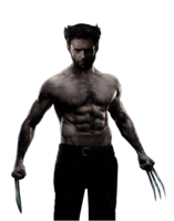 fantasy & wolverine free transparent png image.