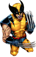 fantasy & wolverine free transparent png image.