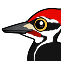 animals & Woodpecker free transparent png image.