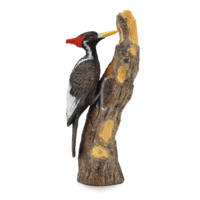 animals & Woodpecker free transparent png image.