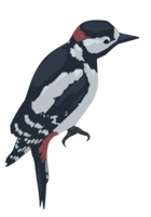 animals & woodpecker free transparent png image.