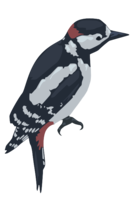 animals & Woodpecker free transparent png image.