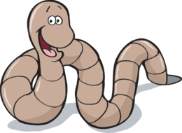 insects & worms free transparent png image.