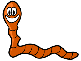 insects & worms free transparent png image.