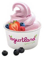 food & yogurt free transparent png image.