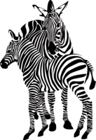 animals & Zebra free transparent png image.