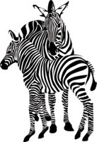 animals & zebra free transparent png image.