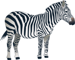 animals & Zebra free transparent png image.