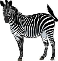 animals & Zebra free transparent png image.