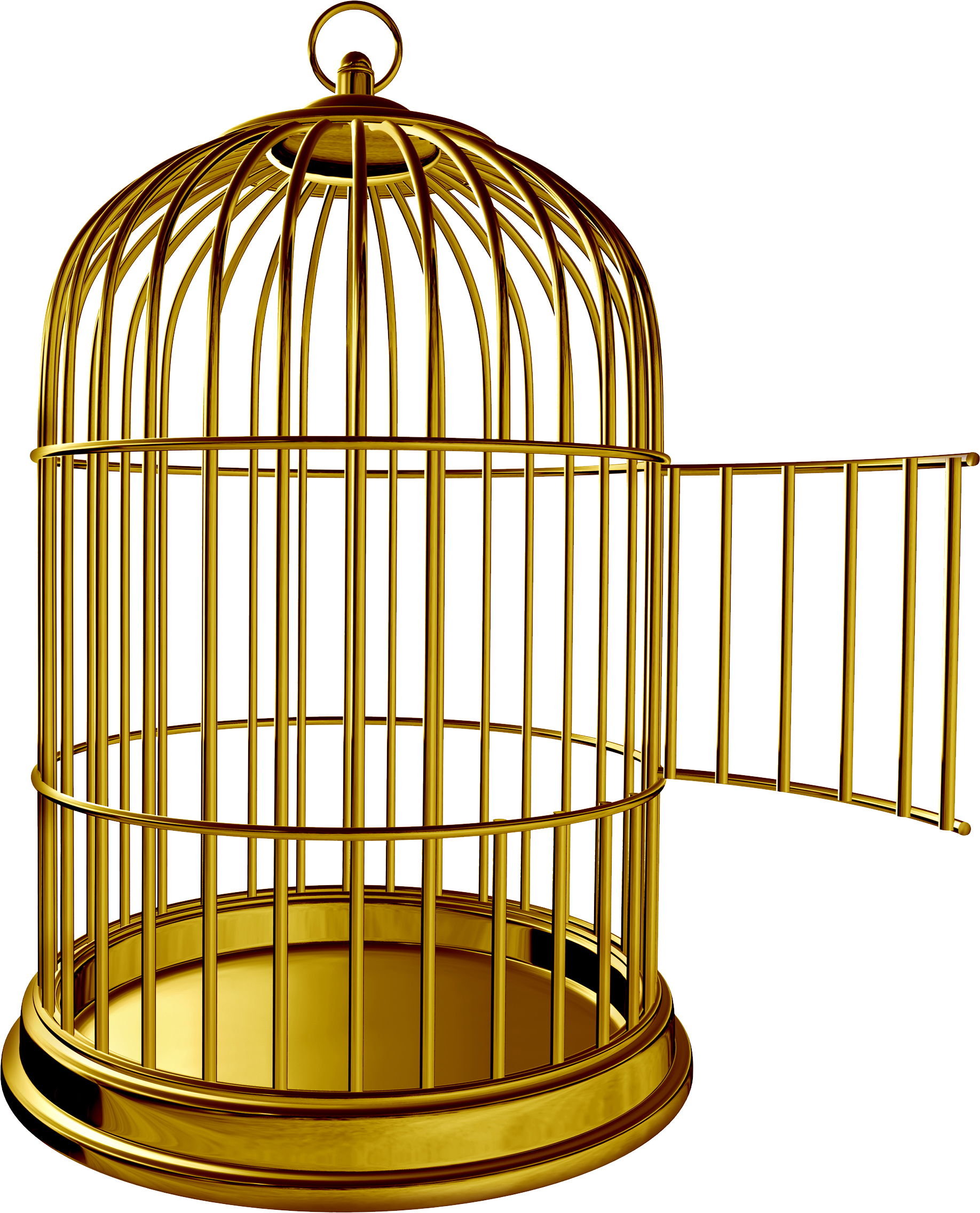 Cage - PNG image with transparent background | Free Png Images