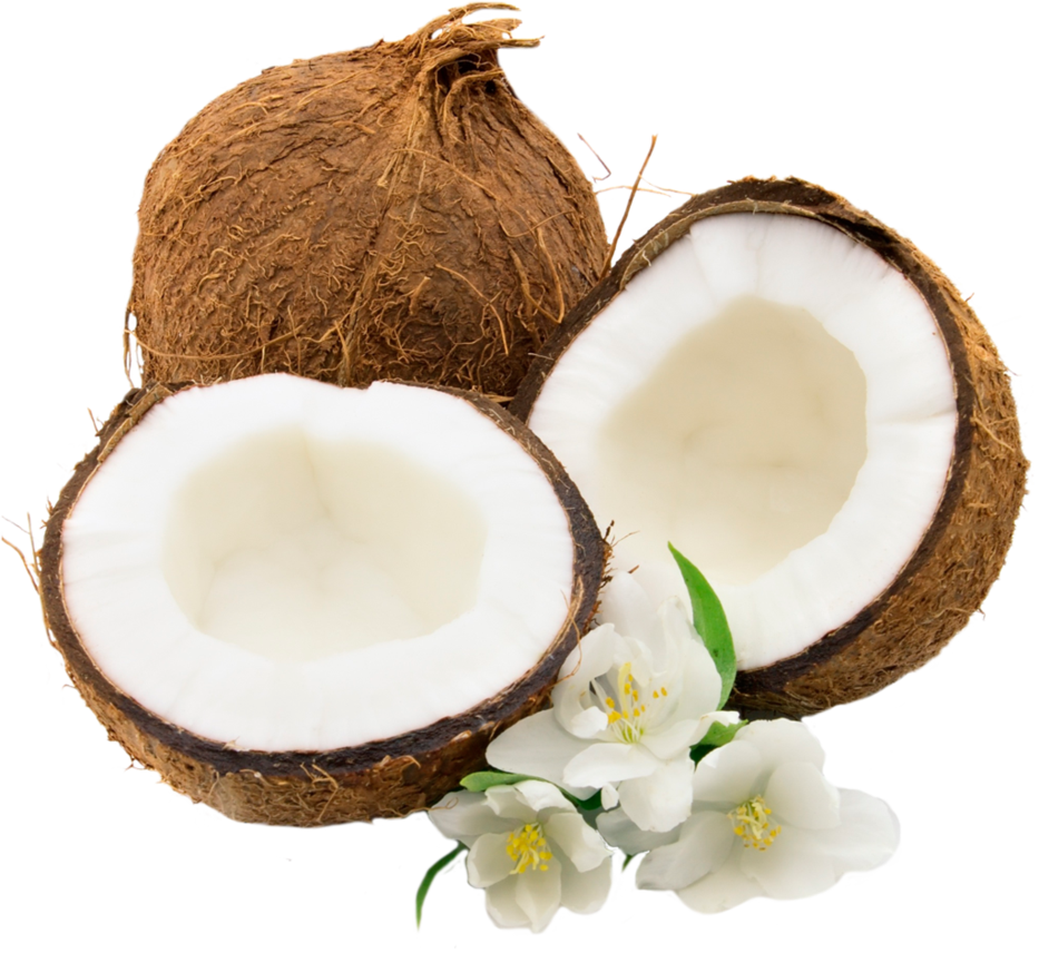 Coconut перевод на русский