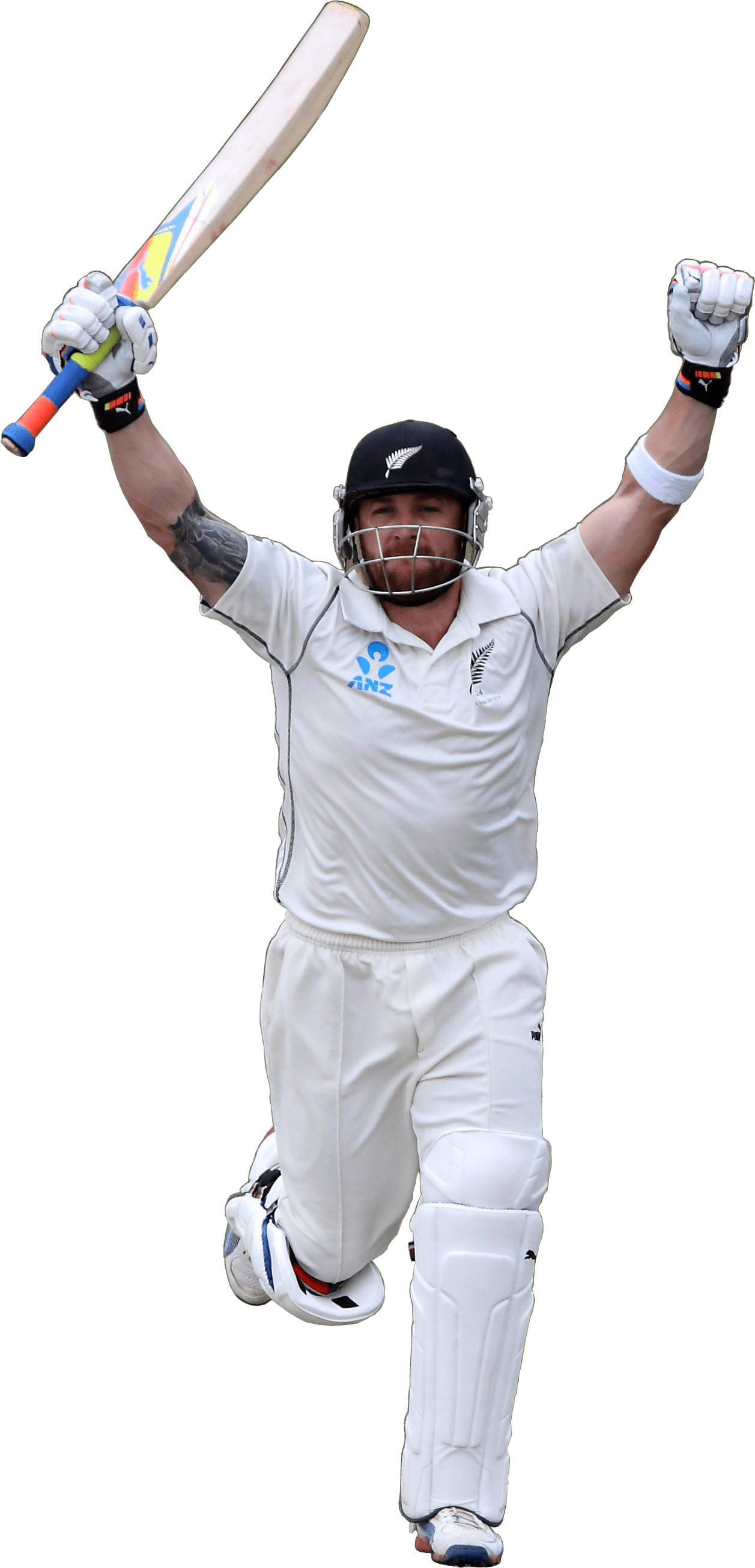 Cricket - PNG image with transparent background | Free Png Images