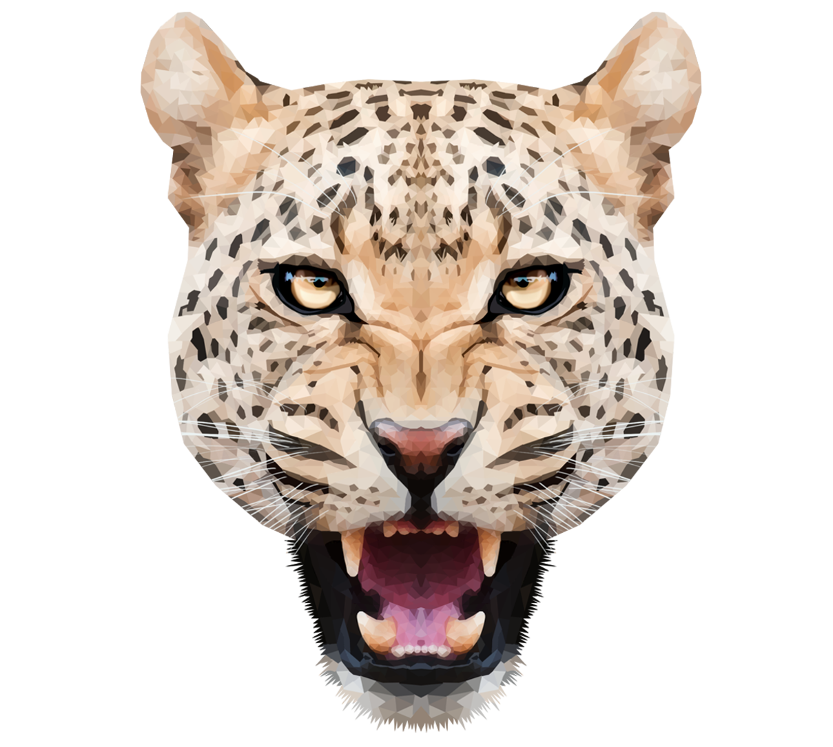 Картинки лица животных. Гепард снежный Барс леопард. Морды животных. Голова леопарда. Леопард морда.